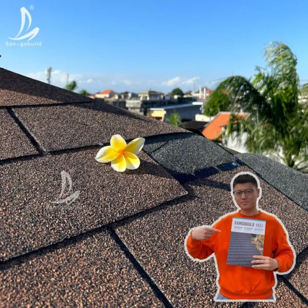 Anti-Algae Roofing Shingles OEM Custom Colors Factory Price 1sqm Asphalt Shingle