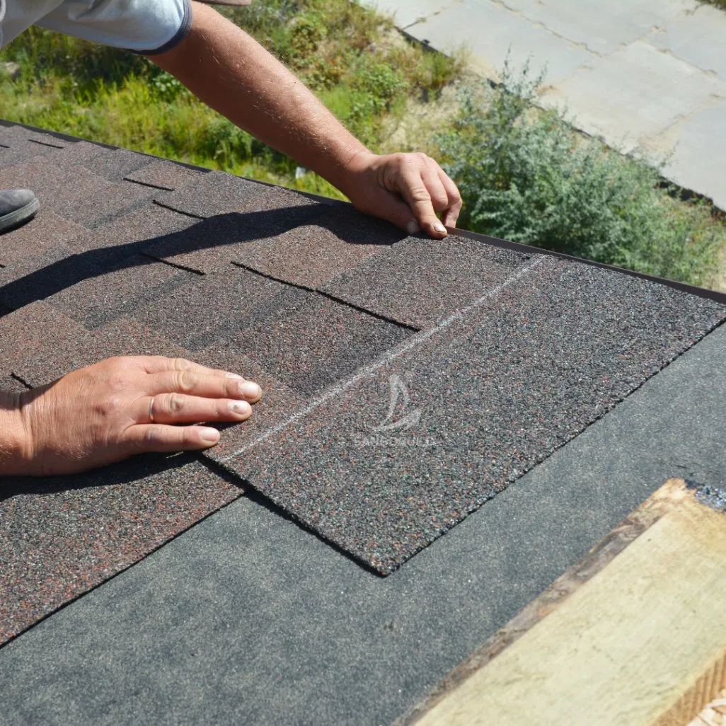 Factory Price Waterproof Double Layer Laminated Asphalt Shingle Roofing Tiles Factory Price Waterproof Double Layer Laminated Asphalt Shingle Roofing Tiles