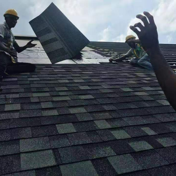 USA Cheapest Price Laminated Double Layer Asphalt Roofing Shingles Factory From China to OEM USA Brand